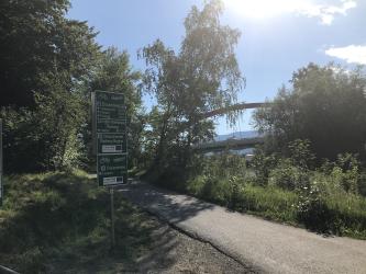 Thumbnail of IMG_1031.jpg